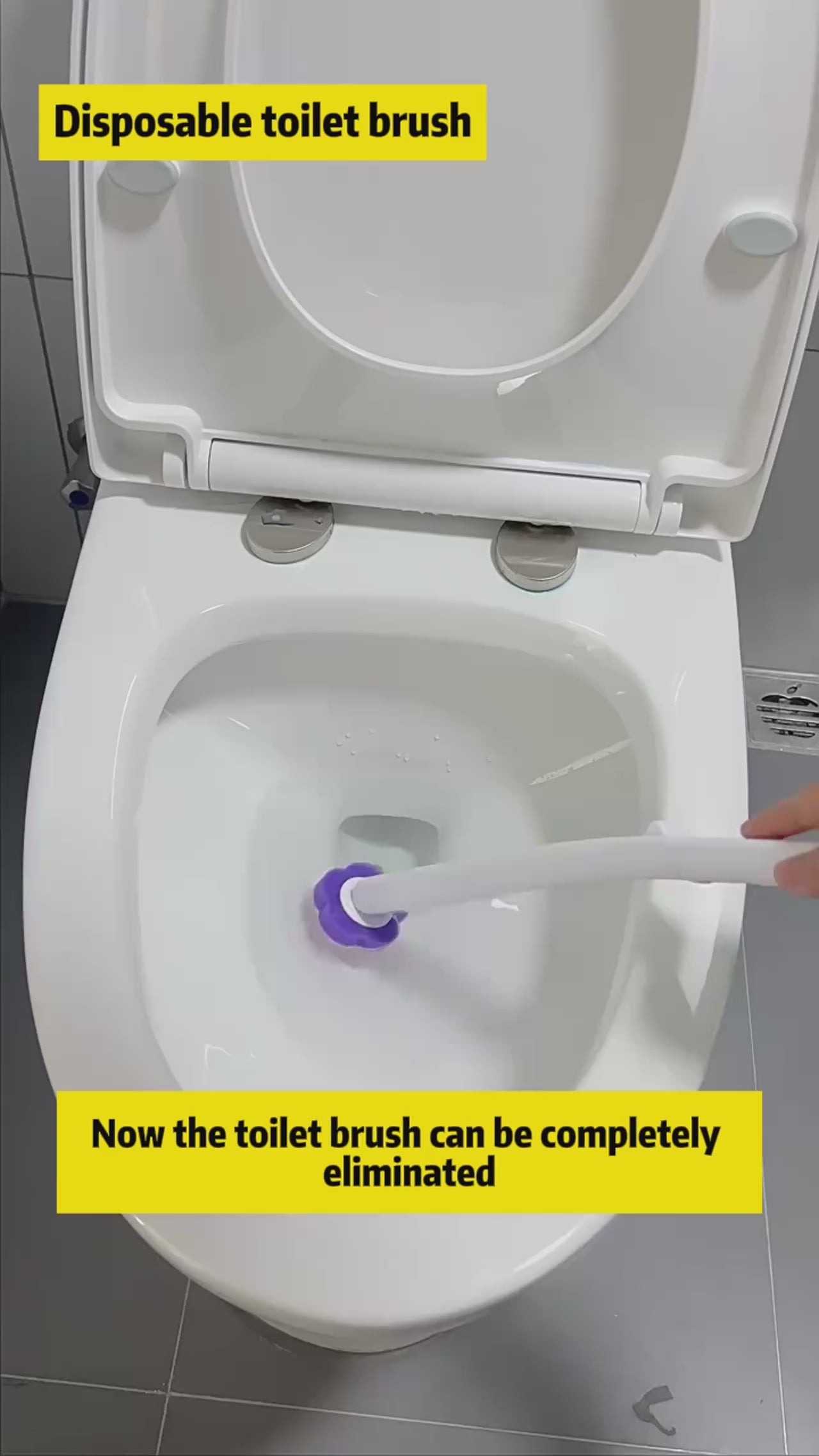 Disposable Toilet Brush